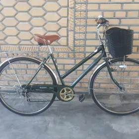 welik 28 6 skor