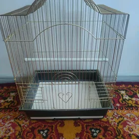 клетка