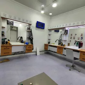 Dellekhana parihmaher