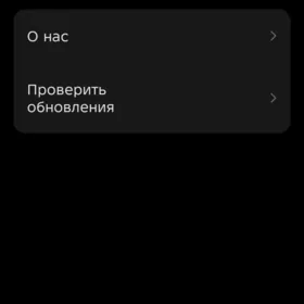 иш гозйан