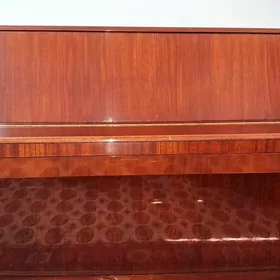pianinq