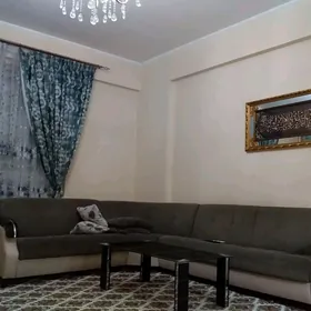 Arenda Mir7/3