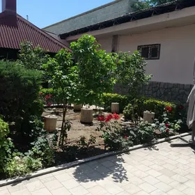 Аренда план дом