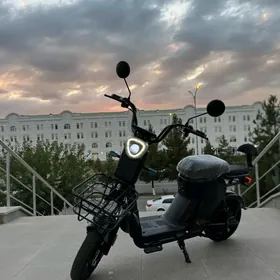 TIGIR KALYASGA BASEYKA ROLIK