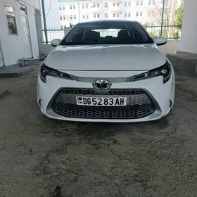 Toyota Corolla 2021