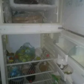 Beko Holadinik.