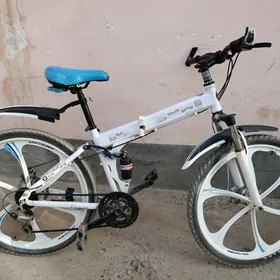 BMW TIGIR