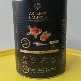 Декапсулированая Артемия