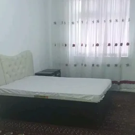 Arenda jay Mir 8 