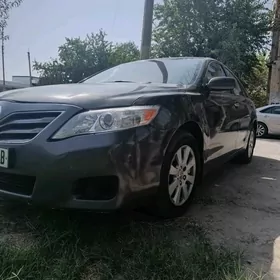Toyota Camry 2010