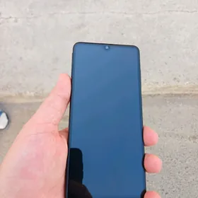 a31