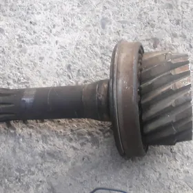 perwiçni ZIL
