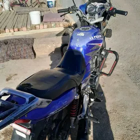 Fekon FK150-8G 2017