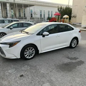 Toyota Corolla 2020