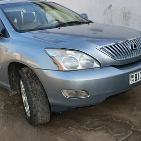 Lexus RX 330 2006