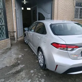 Toyota Corolla 2020