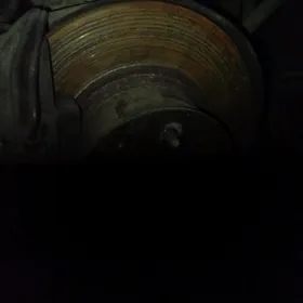 lada stupissa paşşipnik