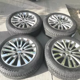 Limited 3 R17