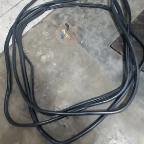 camyry babyçga lisiçga