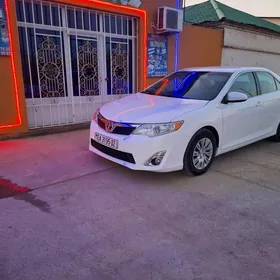 Toyota Camry 2013