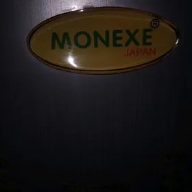 holodilnik monehe