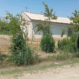 Satlyk Ýasaýys jaý