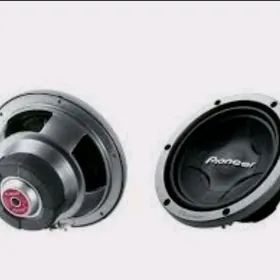 pioneer 1000 w