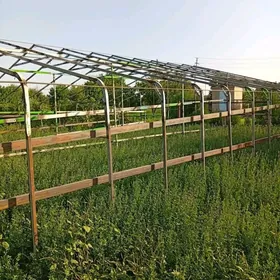 Teplitsa