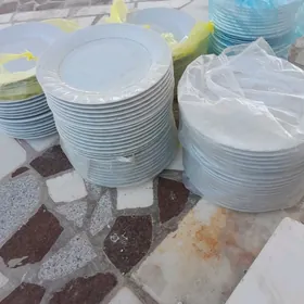 Byr toylyk pasuda