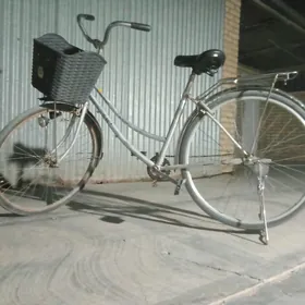 26 lyk tigir