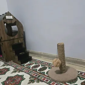 когтеточка