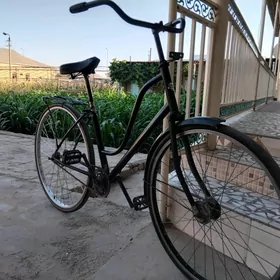 26lyk
