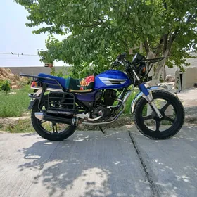 Fekon FK150-8G 2013