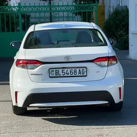 Toyota Corolla 2020