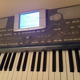 Korg pa 800