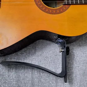 Gitara Dyzlyk