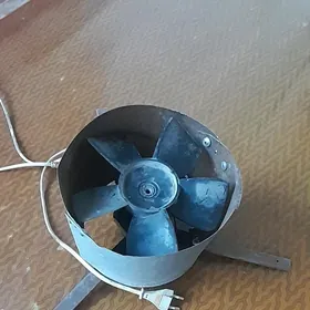 wintilyator