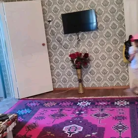 3 punkut kwartira