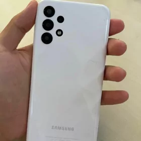 A13