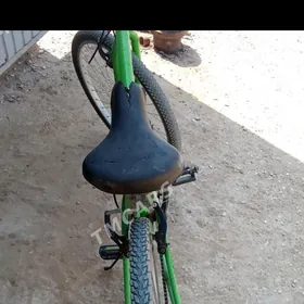 Turkmenistan welik