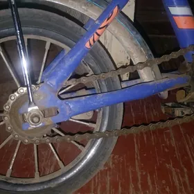 caga welisopet