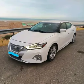 Nissan Maxima 2020