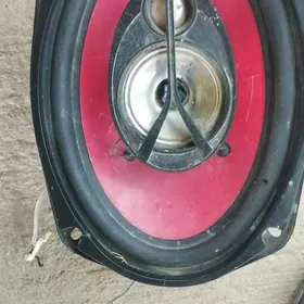 pioneer kolonka