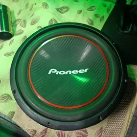 pioner bocka