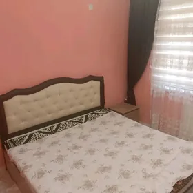  Arenda elitka 