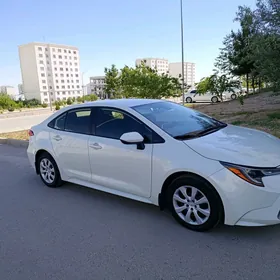 Toyota Corolla 2021