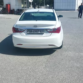 Hyundai Sonata 2010