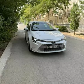 Toyota Corolla 2023