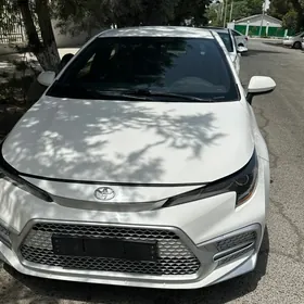 Toyota Corolla Hatchback 2021