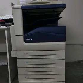 Xerox printer workcentre 7830